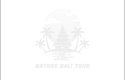 Aset webekspres.co.id (72)